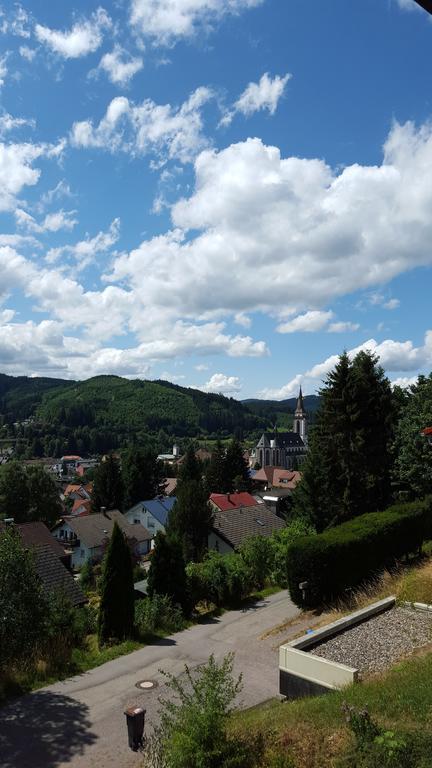 Hochschwarzwald Ferienwohnung Titisee-Neustadt Exterior foto